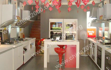 廚衛電器十大品牌