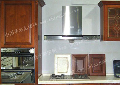 中國十大廚衛電器品牌