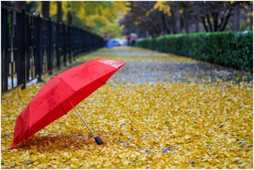 貝洛特門窗:為您定制下一站幸福