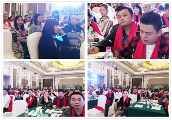 財(cái)富論壇 億固瓷磚膠年度盛典耀佛山