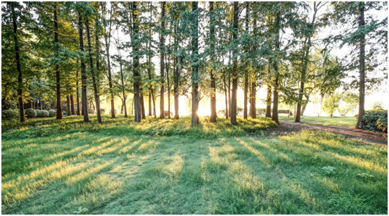 歐尚雅門窗:陽光甚好,微風(fēng)不燥,陽光房里親自然