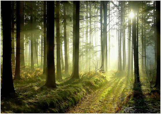 ꖹ֮Z ǿ֮s Tꖹⷿ̽Wؾ