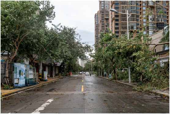 Ϸƪ  ˹DTʡ@sĚƢԡ