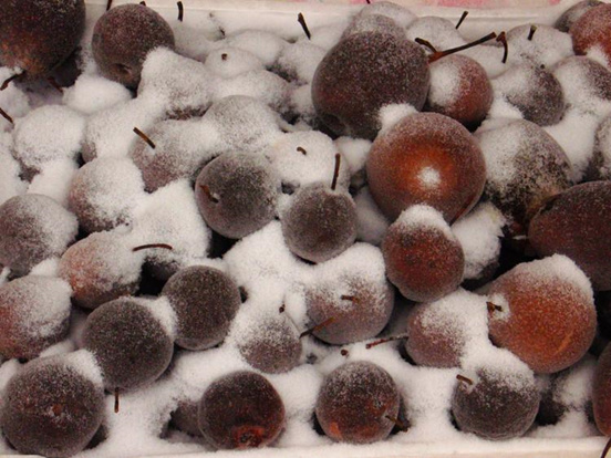 ͥTԒ´ͬ족ͬסһӵϲc