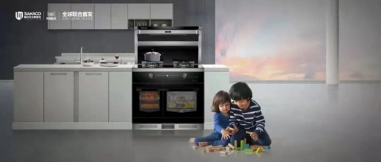 ݠIN˳崨ģʽкβͬ