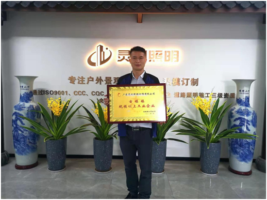 喜報!靈創照明榮膺“古鎮鎮規模以上工業企業”稱號