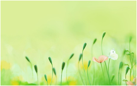 愛尚愛鋁門窗,讓春天住進家里!