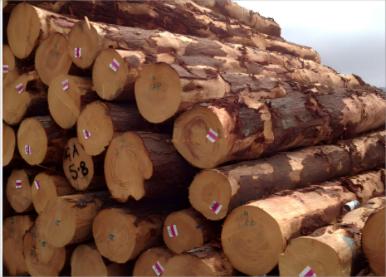 泰山牌OSB板榮登“中國十大OSB板品牌”