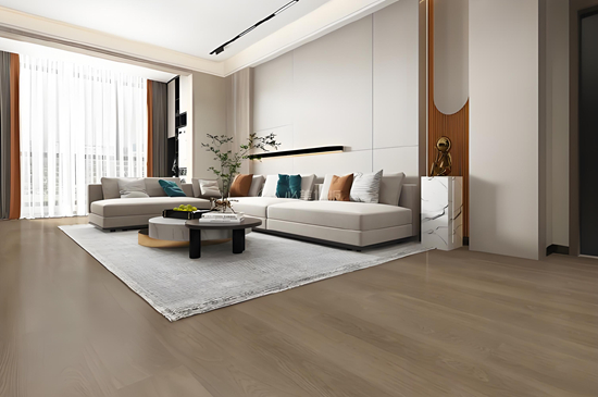 ̽δҾӣ2024ľذOӋڅ