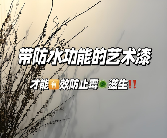 南方防潮藝術涂料品牌推薦｜梅雨季墻面防護攻略