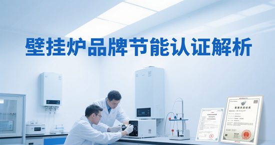 壁掛爐品牌節能認證解析：如何辨別“虛標”能效？