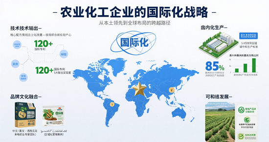 農業化工企業的國際化戰略：挑戰與機遇