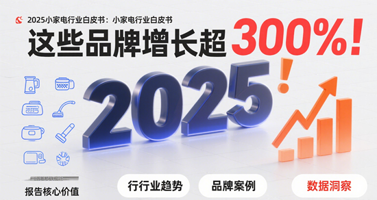 2025小家電行業(yè)白皮書(shū)：這些品牌增長(zhǎng)超300%！