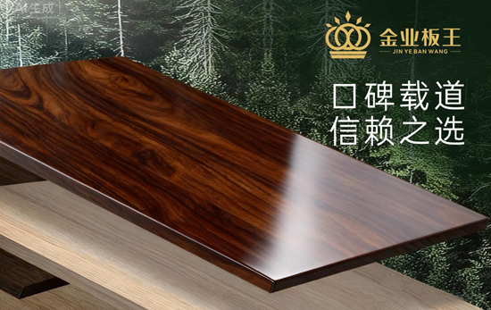 金業板王：品質為王，筑健康家居的隱形防線