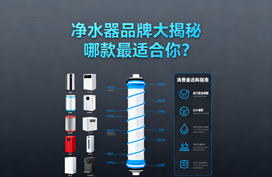 凈水器品牌大揭秘：哪款最適合你？